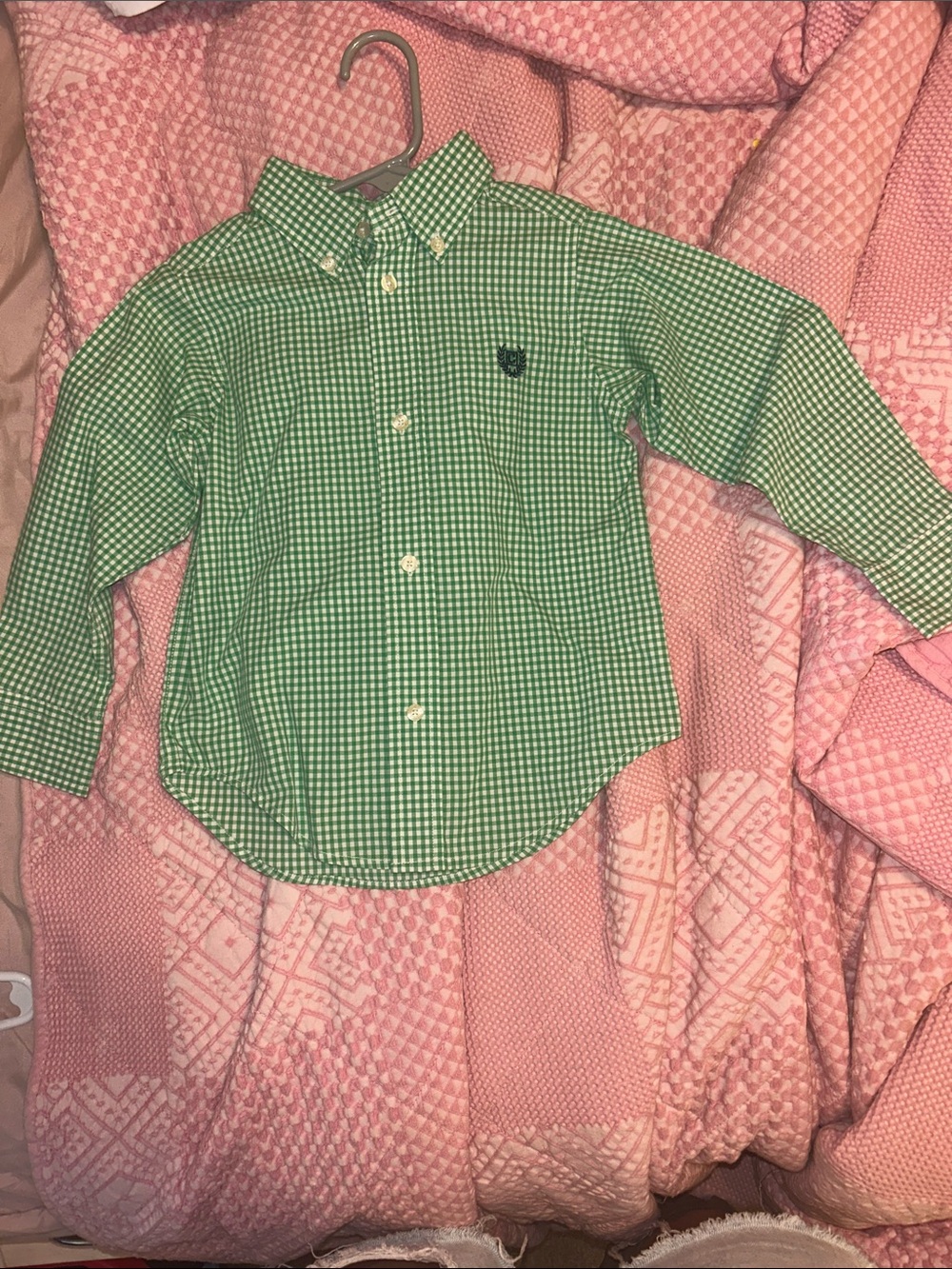 Ralph Lauren Green & White Gingham Button-Down Shirt with Crest